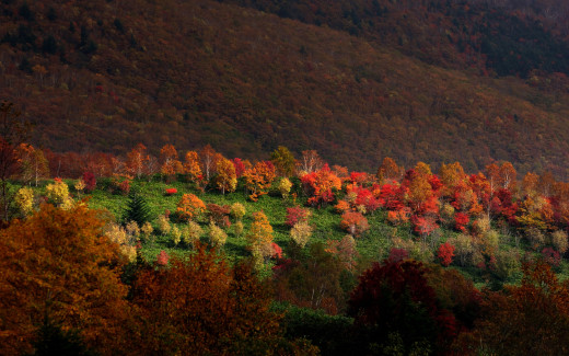 643586 (a): :2560x1600